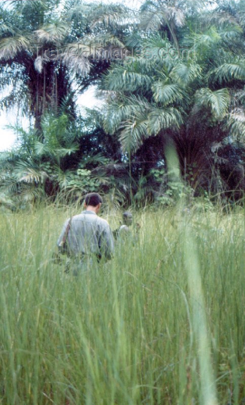 guinea-bissau16: Guinea Bissau / Guiné Bissau - Cacheu region: hunting in the tall grass / caçando no mato (foto de / photo by Dolores CM) - (c) Travel-Images.com - Stock Photography agency - Image Bank