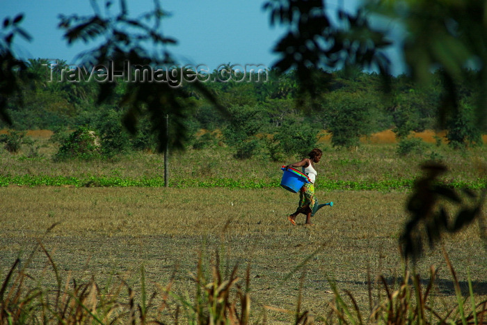 guinea-bissau167: Praia de Varela / Varela beach, Cacheu region, Guinea Bissau / Guiné Bissau: Woman watering farms, everyday life / Mulher a regar os campos, vida quotidiana - photo by R.V.Lopes - (c) Travel-Images.com - Stock Photography agency - Image Bank