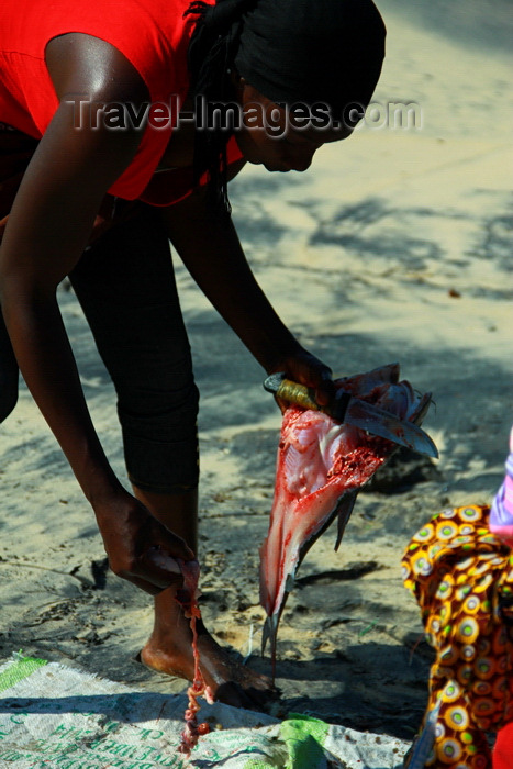 guinea-bissau182: Praia de Varela / Varela beach, Cacheu region, Guinea Bissau / Guiné Bissau: Women gutting fish / Mulher a arranjar o peixe - photo by R.V.Lopes - (c) Travel-Images.com - Stock Photography agency - Image Bank