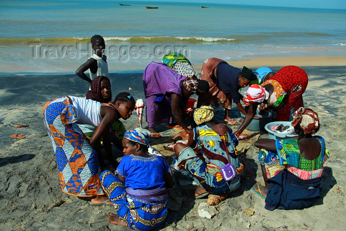 guinea-bissau183: Praia de Varela / Varela beach, Cacheu region, Guinea Bissau / Guiné Bissau: circle of women gutting the fish / círculo de mulheres a amanhar o peixe - photo by R.V.Lopes - (c) Travel-Images.com - Stock Photography agency - Image Bank