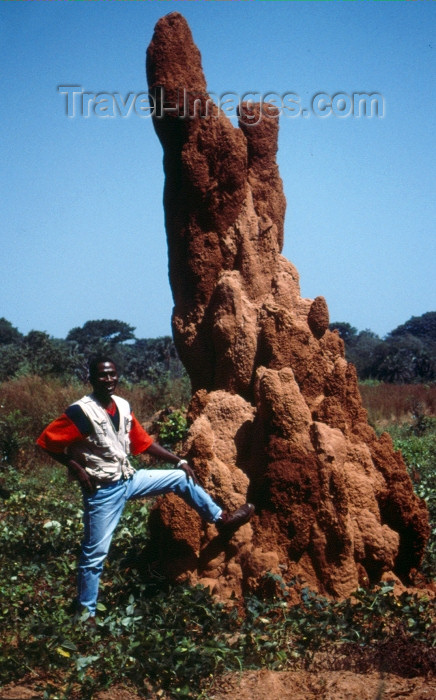 guinea-bissau6: Guinea Bissau / Guiné Bissau - Bula: giant ant hill - termites / castelo de térmitas - Baga-Baga (foto de / photo by Dolores CM) - (c) Travel-Images.com - Stock Photography agency - Image Bank