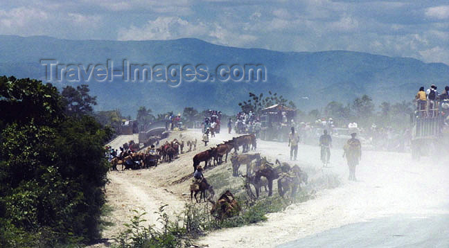 haiti25: Haiti - Cap-Haitien: donkey park next to the country market (photo by G.Frysinger) - (c) Travel-Images.com - Stock Photography agency - Image Bank