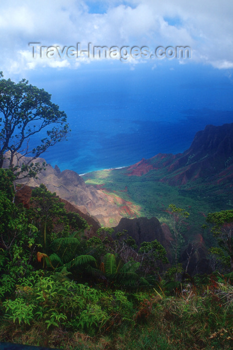 hawaii1: Hawaii - Kauai Island: Na Pali coast: Hawaiian Islands with flora in foreground and ocean in background - Hawaiian Islands - photo by D.Smith - (c) Travel-Images.com - Stock Photography agency - Image Bank