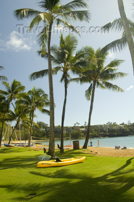 hawaii10: Hawaii - Kauai Island: Nawiliwili Beach: palm trees and outrigger canoe in foreground and ocean beach in background - Hawaiian Islands - photo by D.Smith - (c) Travel-Images.com - Stock Photography agency - Image Bank