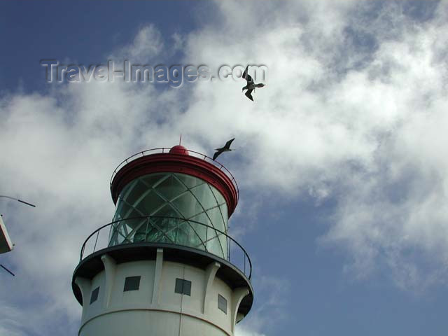 hawaii32: Hawaii - Kauai island: lighthouse - birds - photo by P.Soter - (c) Travel-Images.com - Stock Photography agency - Image Bank