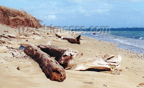 hawaii38: Hawaii - Lana'i island: the beach - photo by G.Frysinger - (c) Travel-Images.com - Stock Photography agency - Image Bank