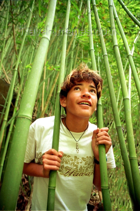 hawaii76: Hawaii - Maui island: boy in the bamboo forest - Eastern Maui - Photo by G.Friedman - (c) Travel-Images.com - Stock Photography agency - Image Bank