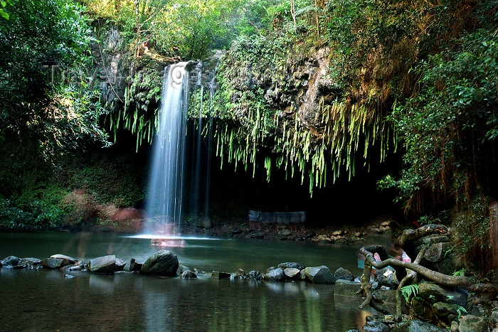 hawaii82: Hawaii - Maui island: Twin Falls, halfway between Lahaina and Hana - Photo by G.Friedman - (c) Travel-Images.com - Stock Photography agency - Image Bank