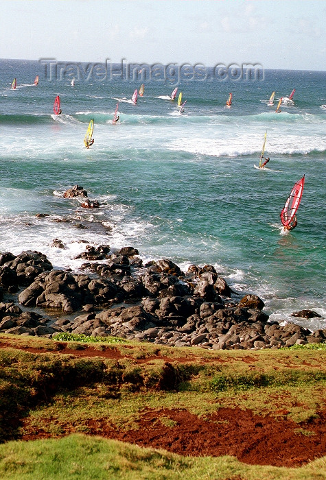 hawaii84: Hawaii - Maui island: windsurfers - Photo by G.Friedman - (c) Travel-Images.com - Stock Photography agency - Image Bank