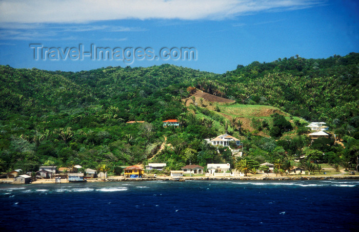 honduras10: Honduras - Roatan island: lush shoreline - Caribbean Sea - photo by D.Forman - (c) Travel-Images.com - Stock Photography agency - Image Bank