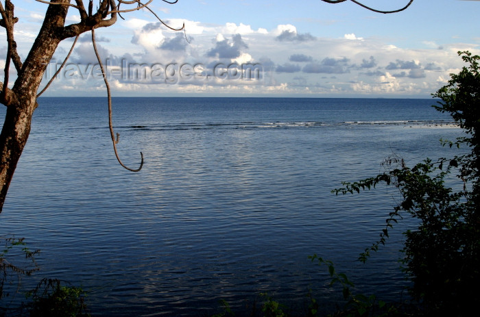 honduras15: Honduras - Roatán island: slice of heaven - coast - beach - photo by C.Palacio - (c) Travel-Images.com - Stock Photography agency - Image Bank