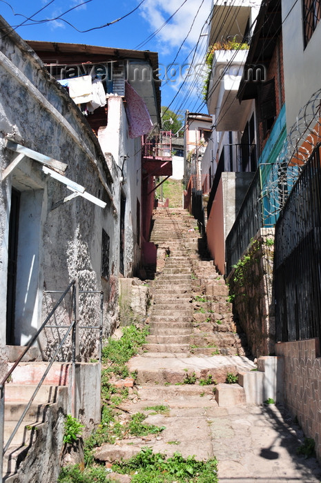 honduras27: Tegucigalpa, Honduras: stairs - climbing to Parque La Leona - Parque Manuel Bonilla - photo by M.Torres - (c) Travel-Images.com - Stock Photography agency - Image Bank