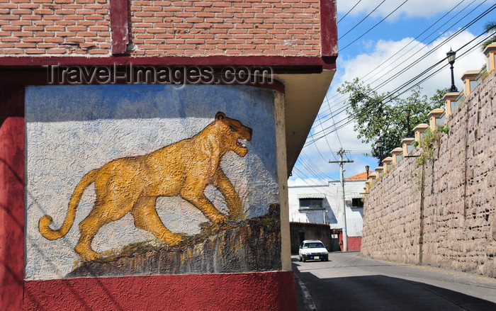 honduras28: Tegucigalpa, Honduras: lioness mural under Parque La Leona, aka Parque Manuel Bonilla - photo by M.Torres - (c) Travel-Images.com - Stock Photography agency - Image Bank