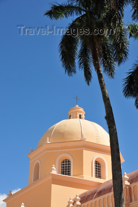 honduras42: Tegucigalpa, Honduras: Metropolitan Cathedral - dome and palm tree - Catedral de San Miguel - photo by M.Torres - (c) Travel-Images.com - Stock Photography agency - Image Bank