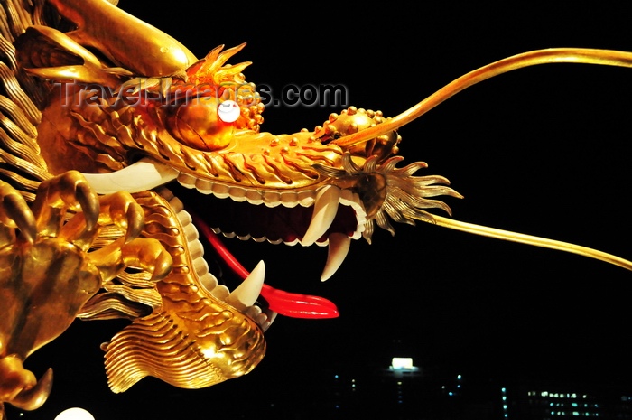 hong-kong14: Hong Kong: Jumbo Floating Restaurant - golden dragon head - Aberdeen Harbour - photo by M.Torres - (c) Travel-Images.com - Stock Photography agency - Image Bank