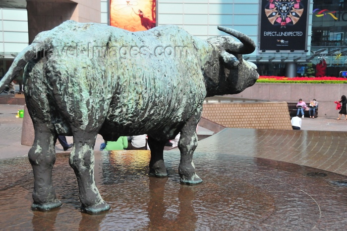 hong-kong24: Hong Kong: water buffalo on Exchange Square, Hong Kong Stock Exchange - Central - photo by M.Torres - (c) Travel-Images.com - Stock Photography agency - Image Bank