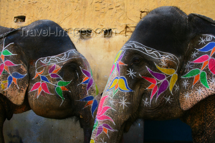 india1: Jaipur / JAI , Rajasthan, India: painted elephants - head decoration - photo by M.Wright - (c) Travel-Images.com - Stock Photography agency - Image Bank