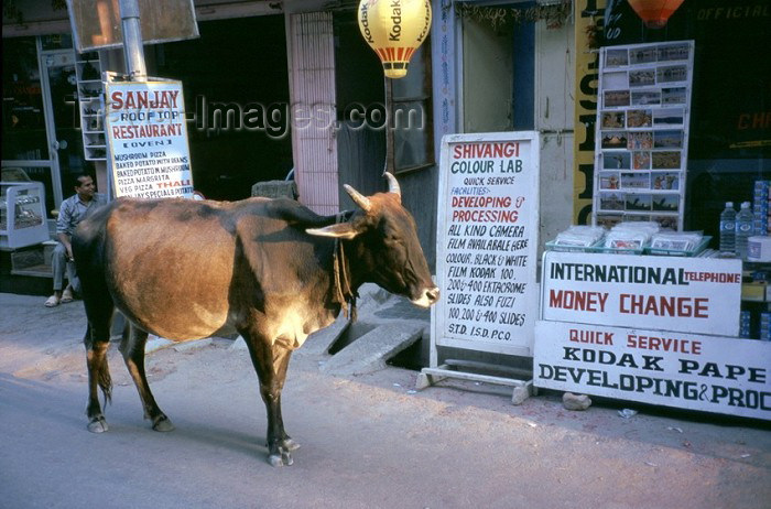 (c) Travel-Images.com - Stock Photography agency - the Global Image Bank