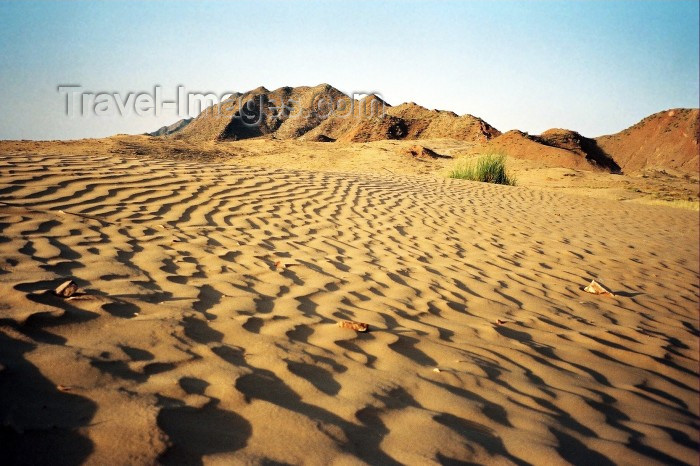 india206: India - Thar desert, Rajasthan - photo by J.Kaman - (c) Travel-Images.com - Stock Photography agency - Image Bank