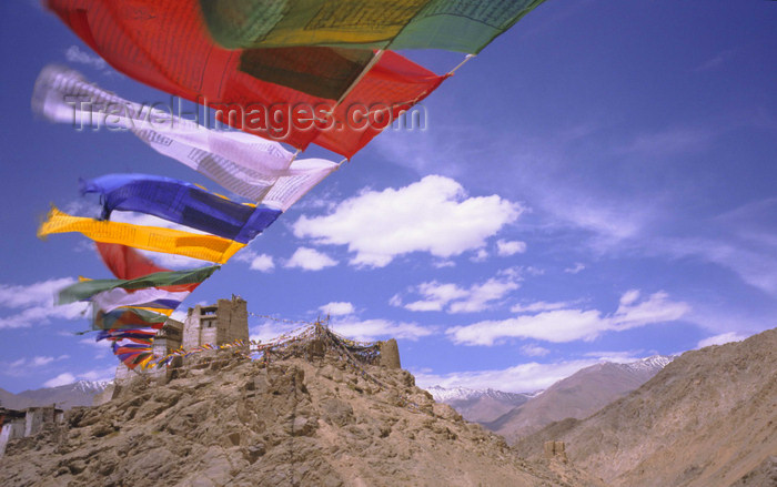 india332: India - Ladakh - Jammu and Kashmir - Leh: prayer flags connect the two peaks of the peak of victory - Namgyal Tsemo Gompa in the background - photo by W.Allgöwer - (c) Travel-Images.com - Stock Photography agency - Image Bank