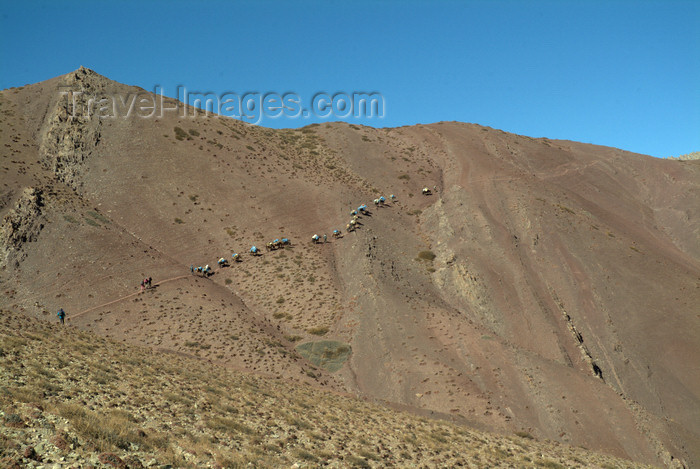 india342: India - Ladakh - Jammu and Kashmir: caravan climbing a mountain - photos of Asia by Ade Summers - (c) Travel-Images.com - Stock Photography agency - Image Bank