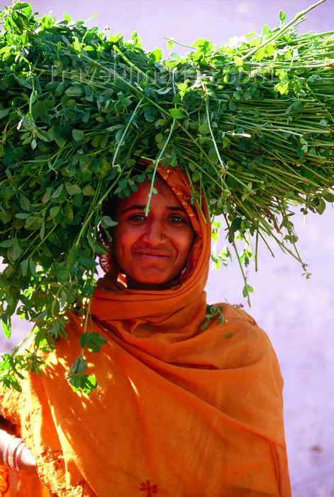 india369: India - Darjeeling (West Bengal): a girl carry grass on her head - photo by E.Petitalot - (c) Travel-Images.com - Stock Photography agency - Image Bank