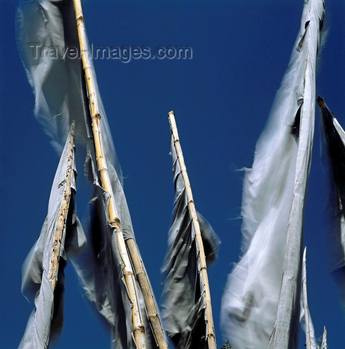 india386: India - Himachal Pradesh: Buddhist prayer flags - photo by W.Allgöwer - (c) Travel-Images.com - Stock Photography agency - Image Bank