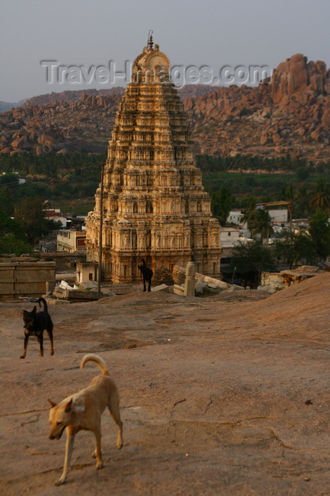 india438: Hampi, Karnataka, India: Virupaksha Temple - Group of Monuments at Hampi - UNESCO World Heritage Site - photo by M.Wright - (c) Travel-Images.com - Stock Photography agency - Image Bank