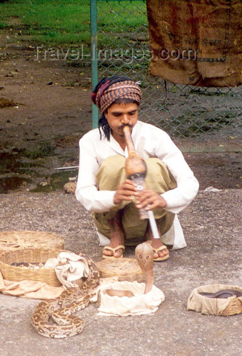 india6: India - Uttar Pradesh: Snake charmer (photo by Miguel Torres) - (c) Travel-Images.com - Stock Photography agency - Image Bank