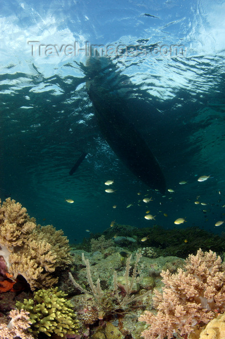 indonesia108: Wakatobi archipelago, Tukangbesi Islands, South East Sulawesi, Indonesia: canoe silhouette over coral reef - Banda Sea - Wallacea - photo by D.Stephens - (c) Travel-Images.com - Stock Photography agency - Image Bank