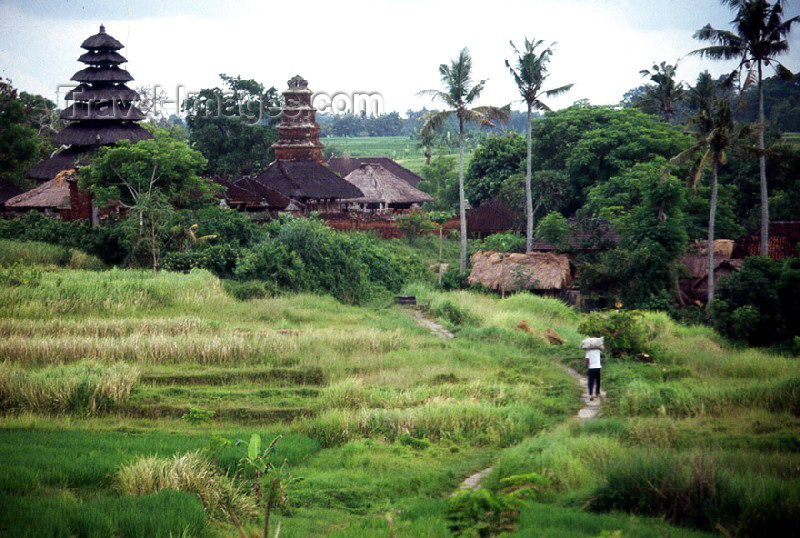 indonesia3: Indonesia - Bali: countryside - wooden temples and village path - photo by Mona Sturges - (c) Travel-Images.com - Stock Photography agency - Image Bank