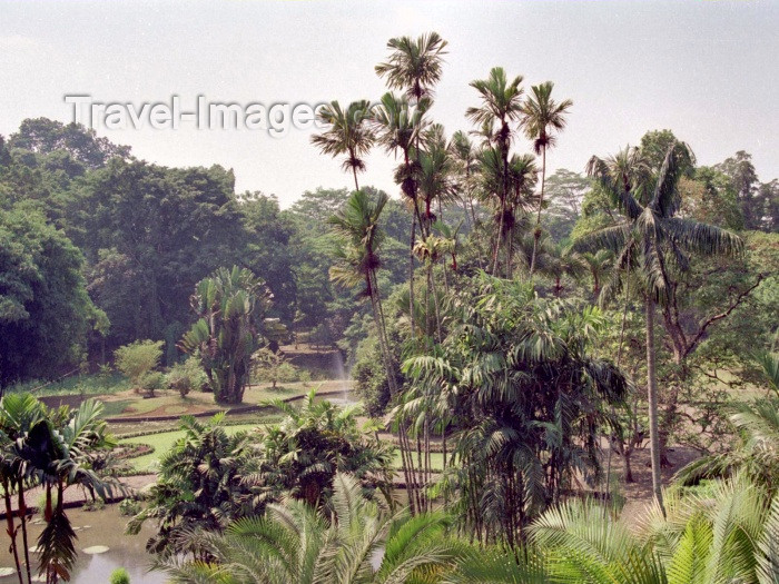 indonesia35: Java - Bogor, Indonesia: Botanical Gardens - photo by M.Bergsma - (c) Travel-Images.com - Stock Photography agency - Image Bank