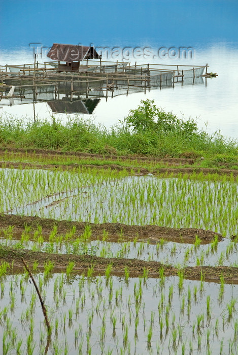 indonesia40: Indonesia - West Sumatra: Lake Maninjau / Danau Maninjau - fishing hut and rice field - photo by P.Jolivet - (c) Travel-Images.com - Stock Photography agency - Image Bank