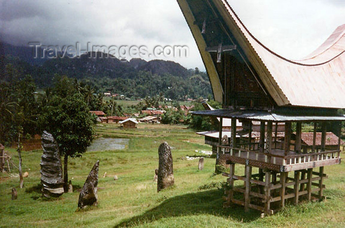 indonesia63: Indonesia - Pulau Sulawesi / Celebes island: traditional residence - photo by G.Frysinger - (c) Travel-Images.com - Stock Photography agency - Image Bank