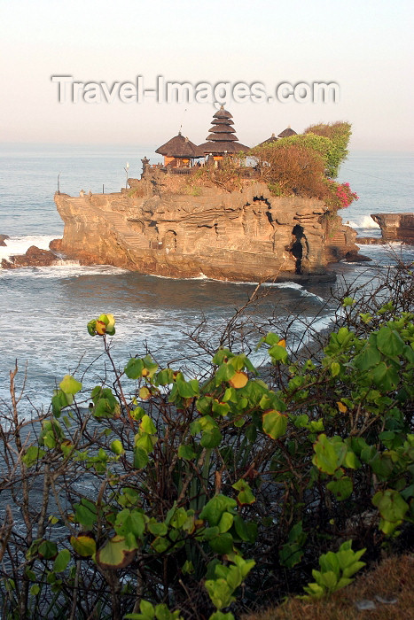 indonesia69: Indonesia - Pulau Bali: Tanah Lot and the coast - Hindu Temple on an islet - photo by R.Eime - (c) Travel-Images.com - Stock Photography agency - Image Bank