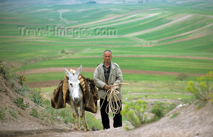 iran166: Iran - Fars province: a man and his donkey - rural scene - photo by W.Allgower - (c) Travel-Images.com - Stock Photography agency - Image Bank