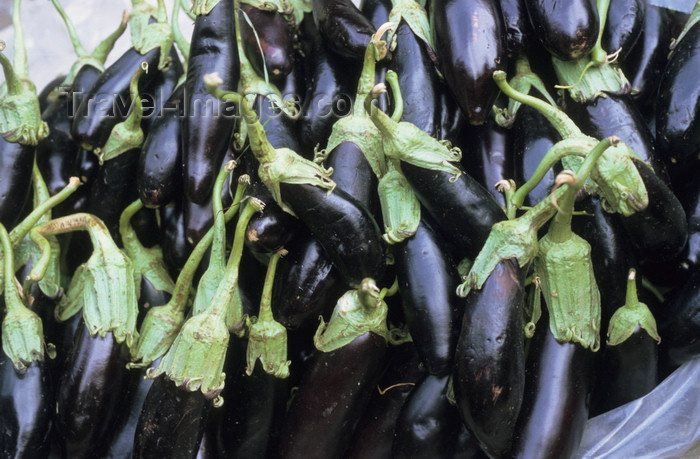 iran196: Iran: eggplants, aubergines or brinjals - Solanum melongena - photo by W.Algower - (c) Travel-Images.com - Stock Photography agency - Image Bank