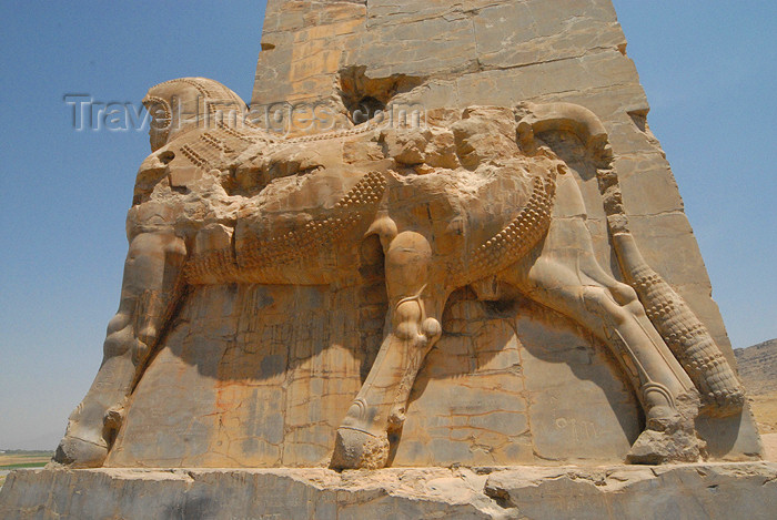 iran271: Iran - Persepolis: Gate of all the nations - western portico - bull - photo by M.Torres - (c) Travel-Images.com - Stock Photography agency - Image Bank