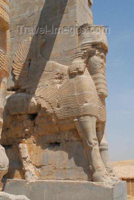 iran273: Iran - Persepolis: Gate of all the Nations - east - lamassus, winged bulls with the head of a bearded man - they warded off evil - shedus - photo by M.Torres - (c) Travel-Images.com - Stock Photography agency - Image Bank