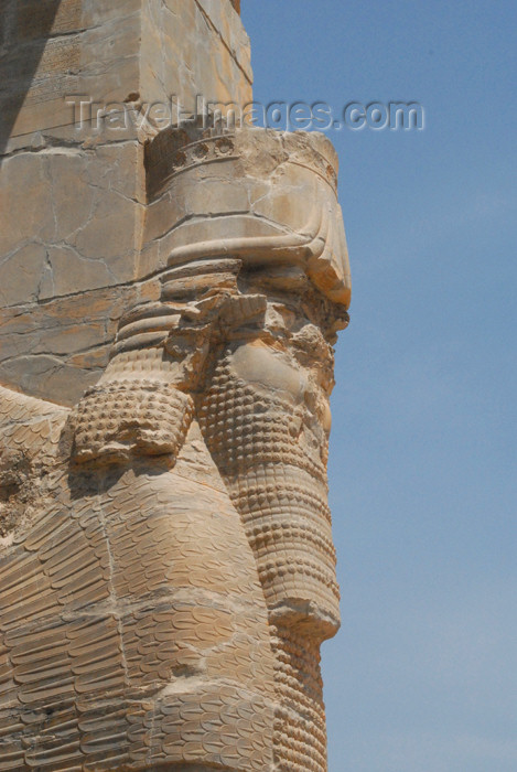 iran274: Iran - Persepolis: Gate of all the Nations - east - shedu / lamassu detail - UNESCO world heritage - photo by M.Torres - (c) Travel-Images.com - Stock Photography agency - Image Bank