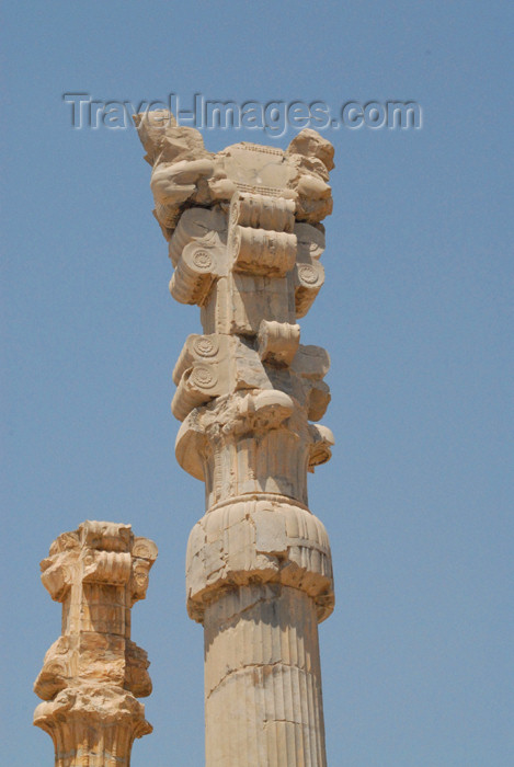 iran275: Iran - Persepolis: Gate of all the nations - columns of the central hall - double-bull in the capital - photo by M.Torres - (c) Travel-Images.com - Stock Photography agency - Image Bank