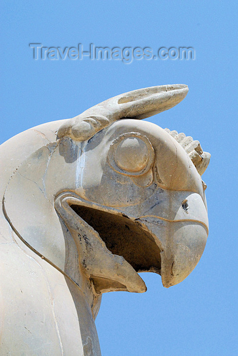 iran277: Iran - Persepolis: Homa - a griffin-like mythological creature in Persian art, some times identified with the mythical flying creature called Simurgh - photo by M.Torres - (c) Travel-Images.com - Stock Photography agency - Image Bank