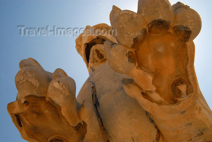 iran280: Iran - Persepolis: under the claws of a Homa bird - photo by M.Torres - (c) Travel-Images.com - Stock Photography agency - Image Bank