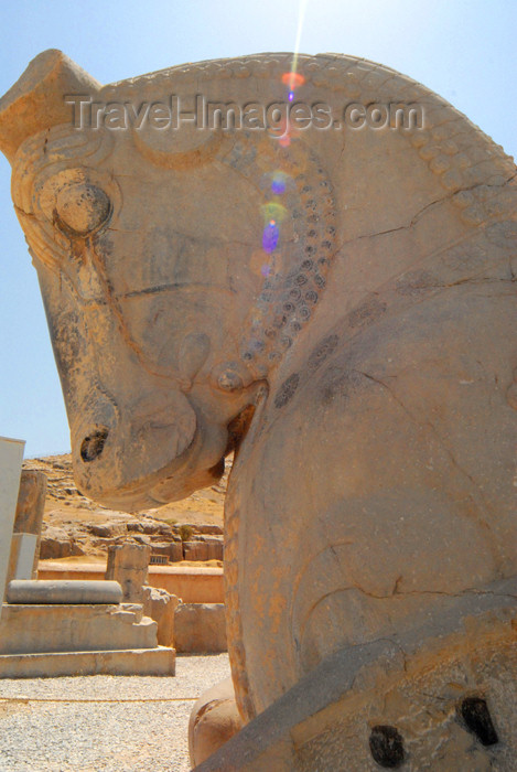 iran282: Iran - Persepolis: bull's head - horns cut - photo by M.Torres - (c) Travel-Images.com - Stock Photography agency - Image Bank