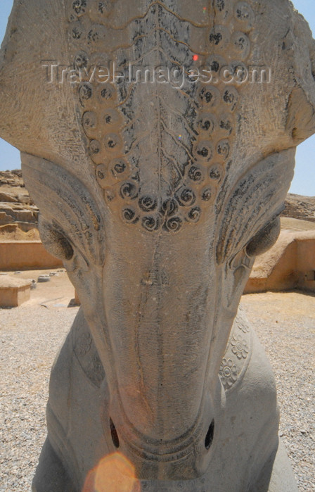 iran285: Iran - Persepolis: bull's head - front view - photo by M.Torres - (c) Travel-Images.com - Stock Photography agency - Image Bank