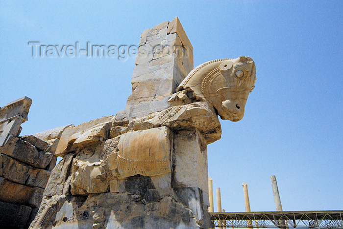 iran286: Iran - Persepolis: portico with a bull - photo by M.Torres - (c) Travel-Images.com - Stock Photography agency - Image Bank