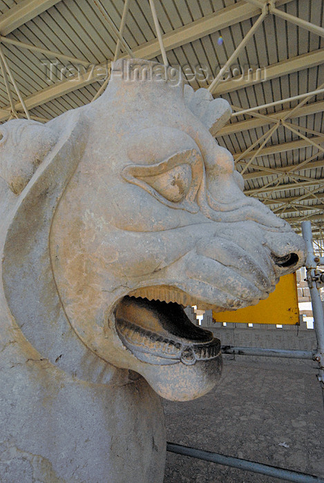 iran295: Iran - Persepolis: Apadana - aggressive lion, once part of the capital of a column in the eastern portico - photo by M.Torres - (c) Travel-Images.com - Stock Photography agency - Image Bank