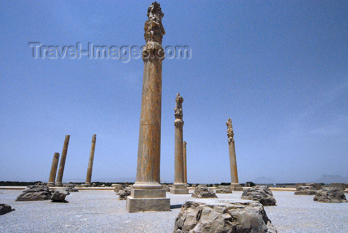 iran296: Iran - Persepolis: Apadana - photo by M.Torres - (c) Travel-Images.com - Stock Photography agency - Image Bank