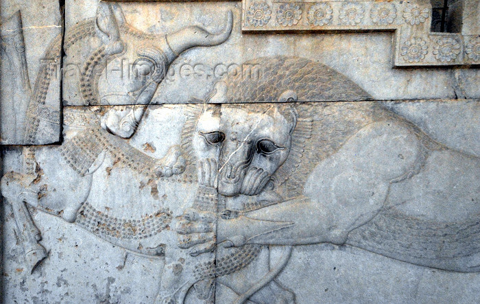 iran310: Iran - Persepolis: Apadana - Eastern stairs - southern wall - struggle between a bull and a lion - Angra Mainyu kills the primeval bull, whose seed is rescued by Mah - symbol for eternity - relief - photo by M.Torres - (c) Travel-Images.com - Stock Photography agency - Image Bank