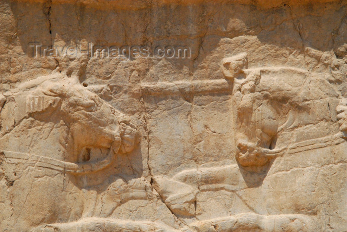 iran329: Iran - Naqsh-e Rustam: equestrian victory monument of Bahram II - horses heads - photo by M.Torres - (c) Travel-Images.com - Stock Photography agency - Image Bank